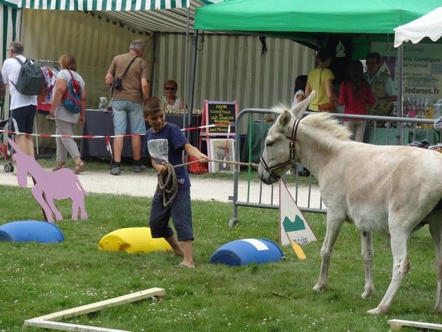 fete 2016 (243).jpg